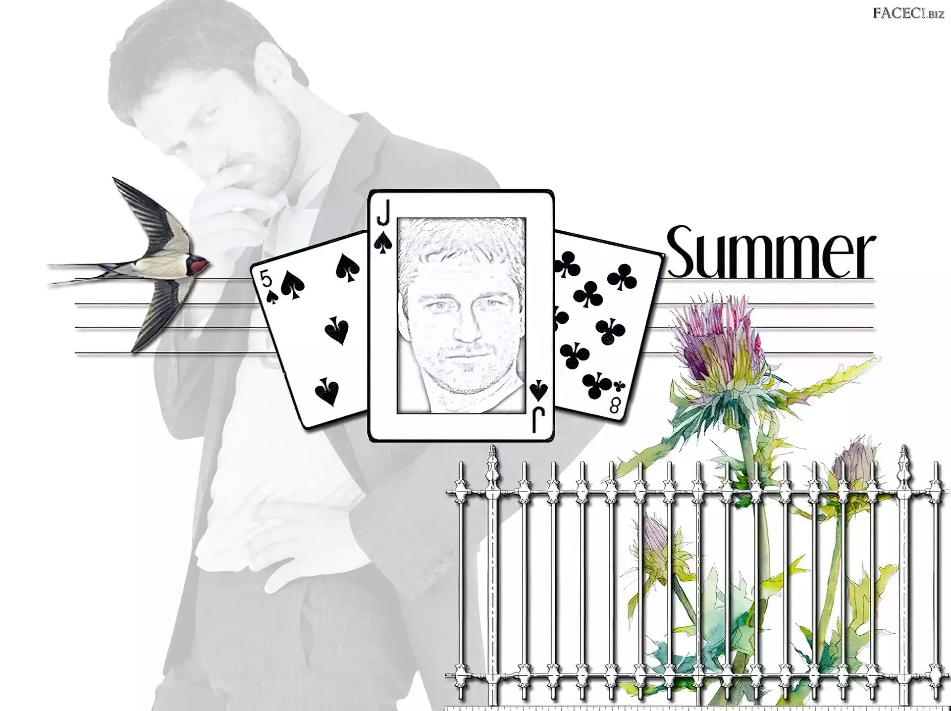 kwiat, Gerard Butler, karty